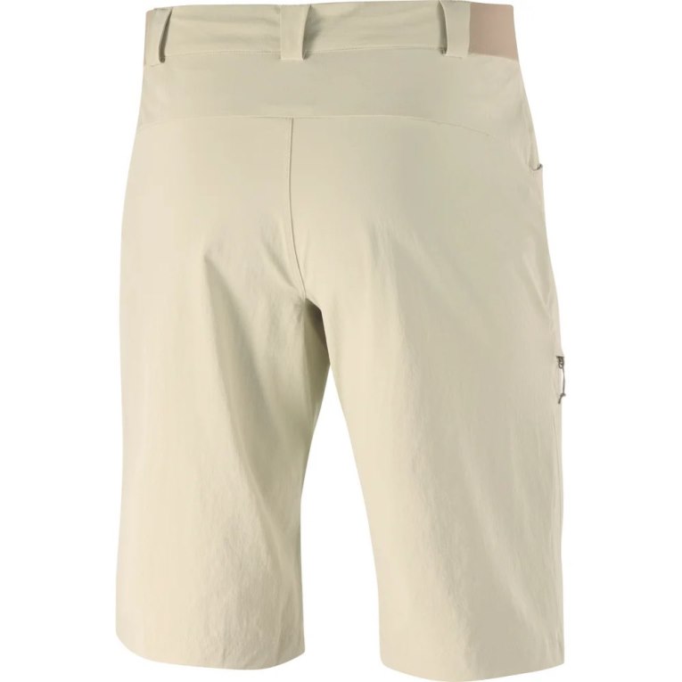 Khaki Salomon Wayfarer Men's Shorts | IE SR6018